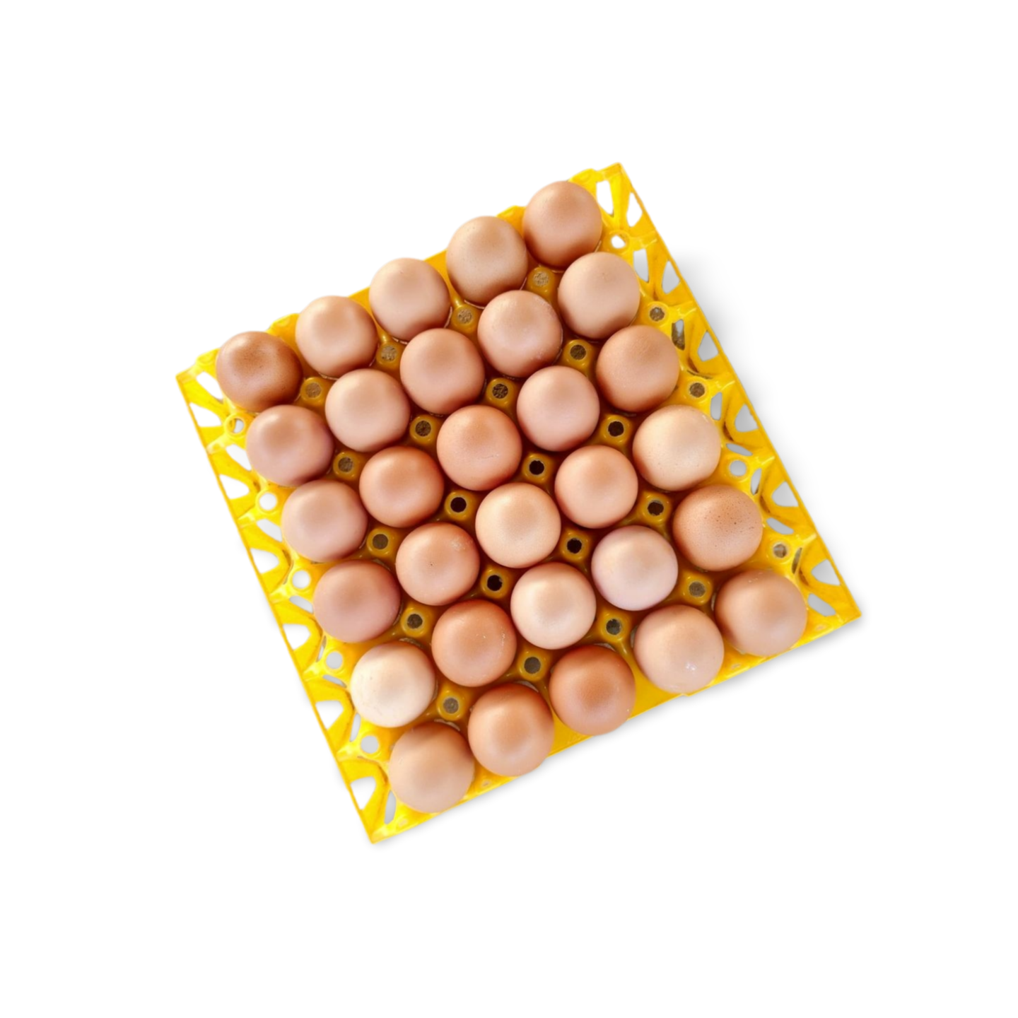 Xluxe Table Eggs