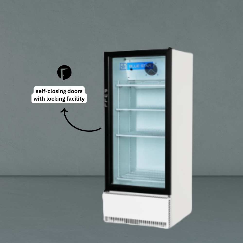 Blue Star Super Cooler SC650F-595 liters