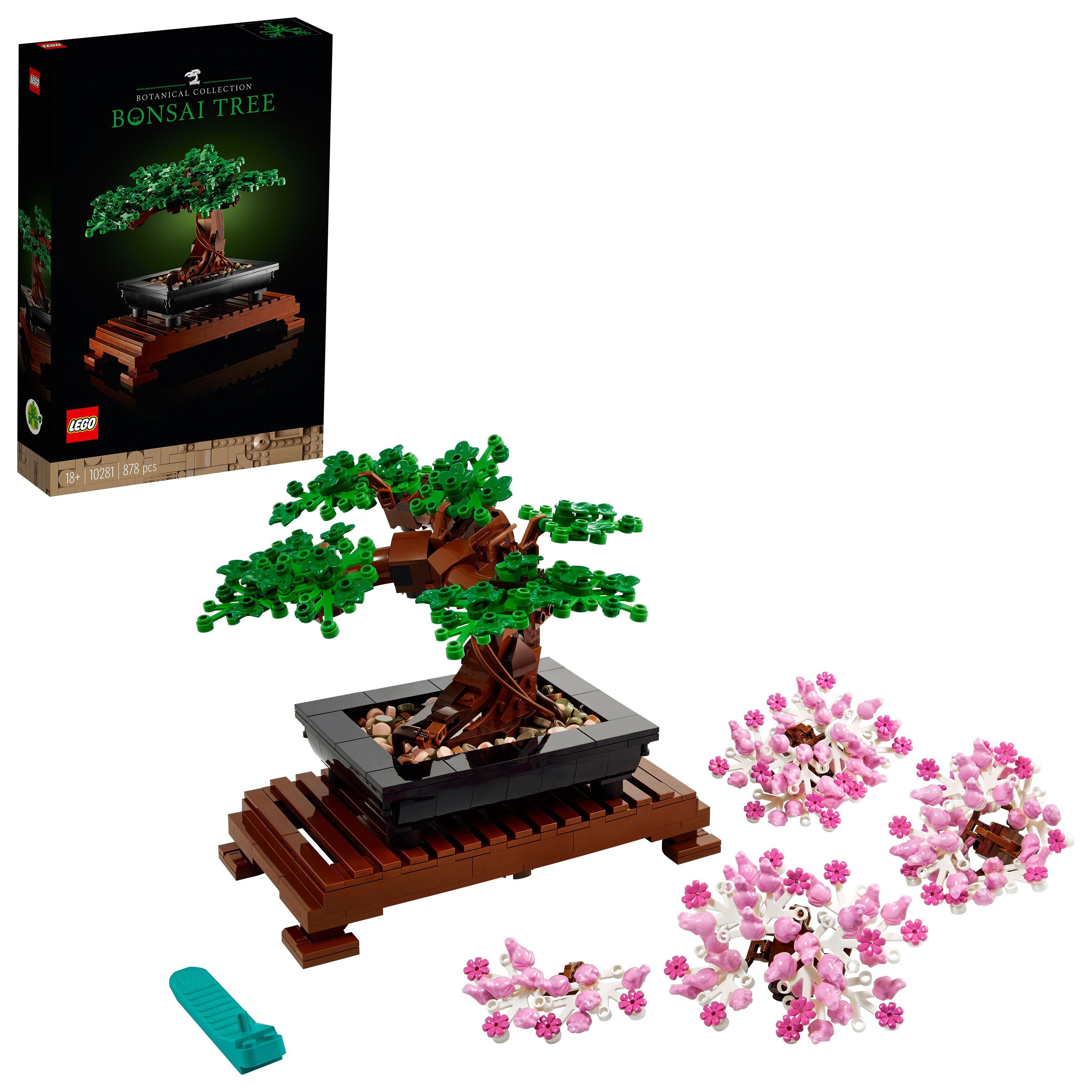 Bonsai Tree