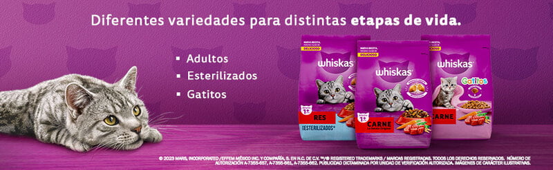 Whiskas - Whiskas Whiskas alimento para Gatos Adultos Sabor Carne Receta Orginal 9Kg Violeta Whiskas - Whiskas Whiskas alimento para Gatos Adultos Sabor Carne Receta Orginal 9Kg Violeta