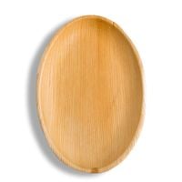 11 Inch Ellipse
