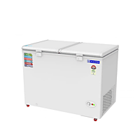 Blue Star 400 Litre Deep Freezer with its Branding Area for Company Logos