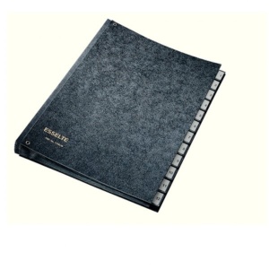 FILE DESK ORGANIZER ESSELTE 1-12#1114219 FILE DESK ORGANIZER ESSELTE 1-12#1114219
