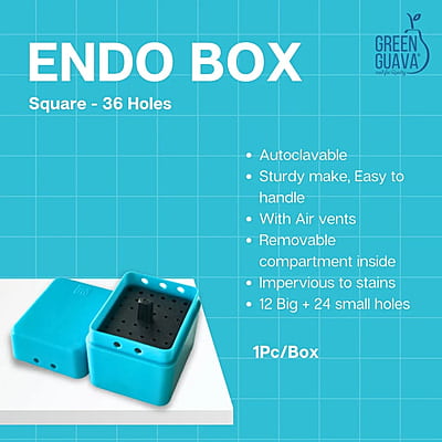 Endo Box- Square 36 Holes Endo Box- Square 36 Holes