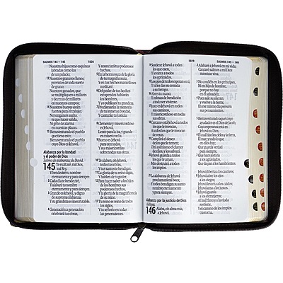 Santa Biblia Manual Letra Gigante Imitación Piel, Negra 14 puntos Santa Biblia Manual Letra Gigante Imitación Piel, Negra 14 puntos