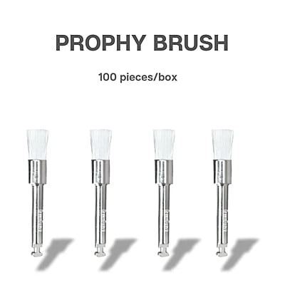 Prophy Brush-Latch Type Prophy Brush-Latch Type