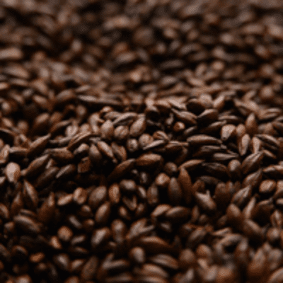 BlackSwaen© Chocolate B BlackSwaen© Chocolate B