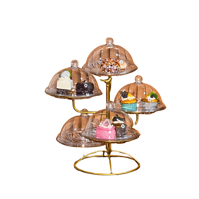 مضيفة فاخرة مع 5 صحون وغطاء