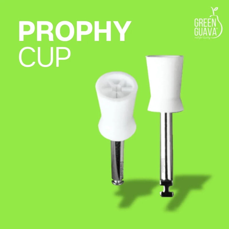 Prophy Cup Prophy Cup