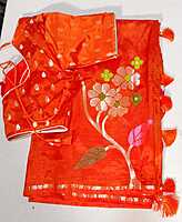 D199: Ready To Ship Beautiful Chinnon Silk Saree With Stitched Blouse