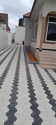 Kopa paving blocks