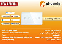 Wifi 2+2 Gang Switch Wifi 2+2 Gang Switch