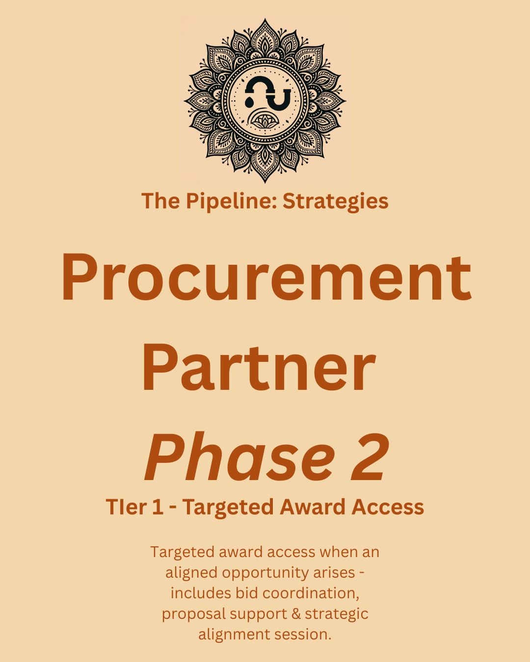 TPS Procurement Partner Phase 2 Targeted Award Access Tier