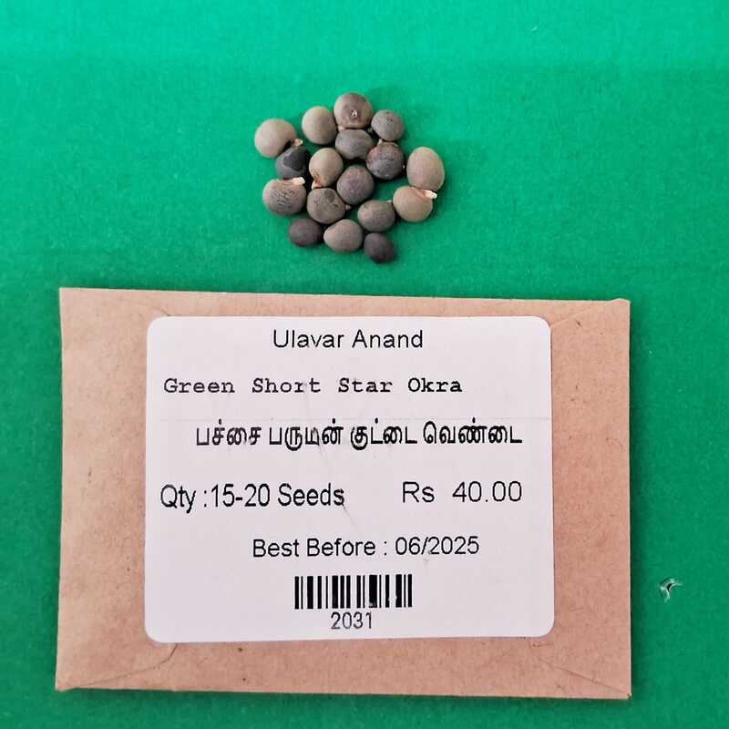 Ladies Finger - Short Paruman ( பச்சை பருமன் குட்டை வெண்டை )