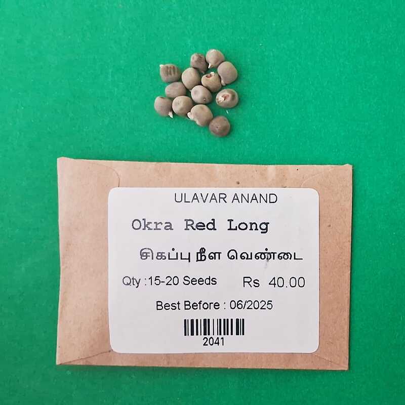 Red Ladies Finger - Long | சிகப்பு நீள வெண்டை