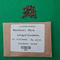 Kasthuri Okra( கஸ்துரி வெண்டை)