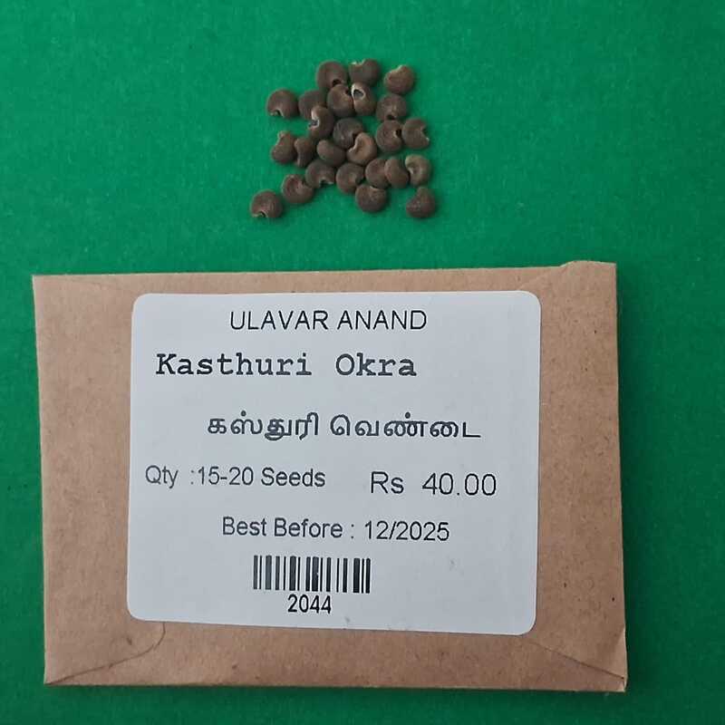 Kasthuri Okra( கஸ்துரி வெண்டை)