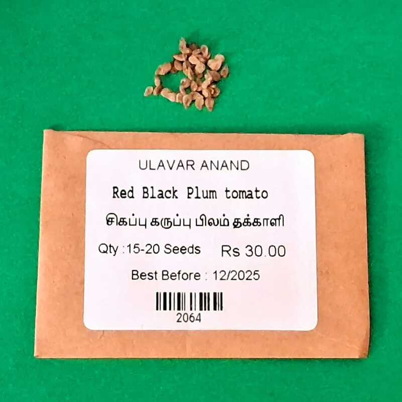 Red Black Plum tomato ( சிகப்பு கருப்பு பிலம் தக்காளி) Red Black Plum tomato ( சிகப்பு கருப்பு பிலம் தக்காளி)