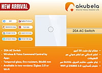 Zigbee 20A AC Switch Zigbee 20A AC Switch