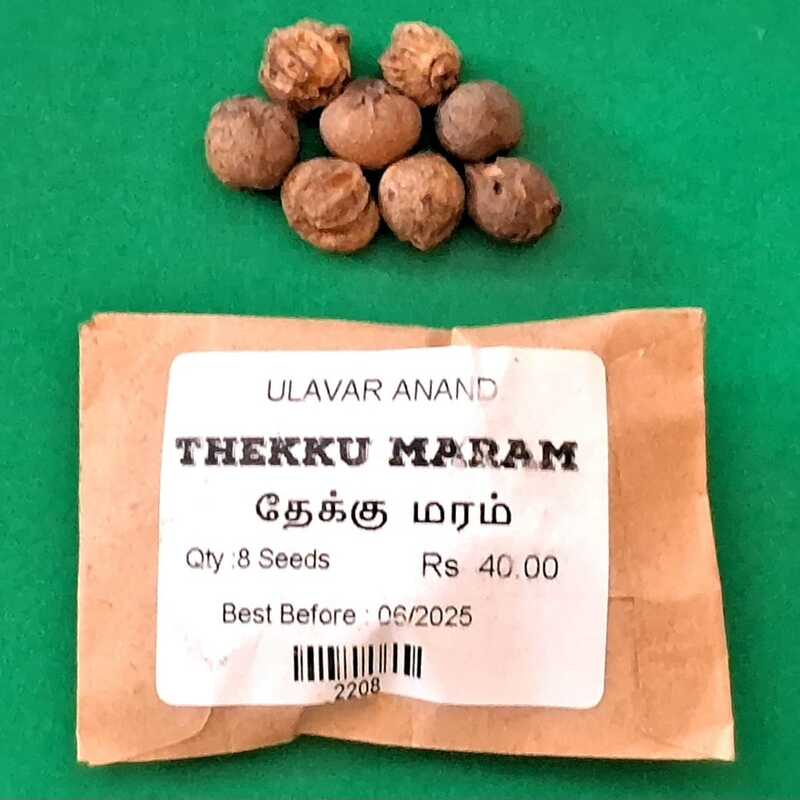 Thekku maram | Teak Tree (தேக்கு)