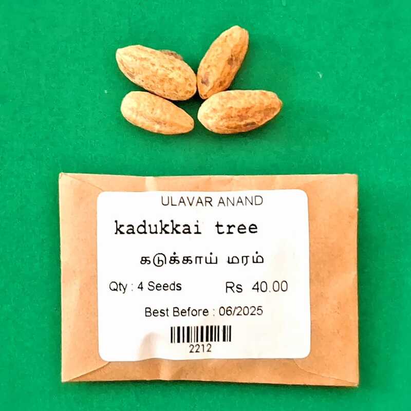 Kadukkai | Terminalia chebula (கடுக்காய்)