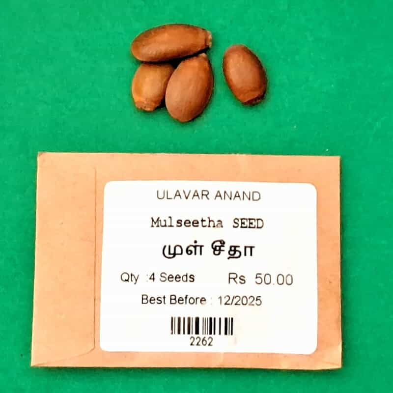 Mull Seetha | முள் சீத்தா