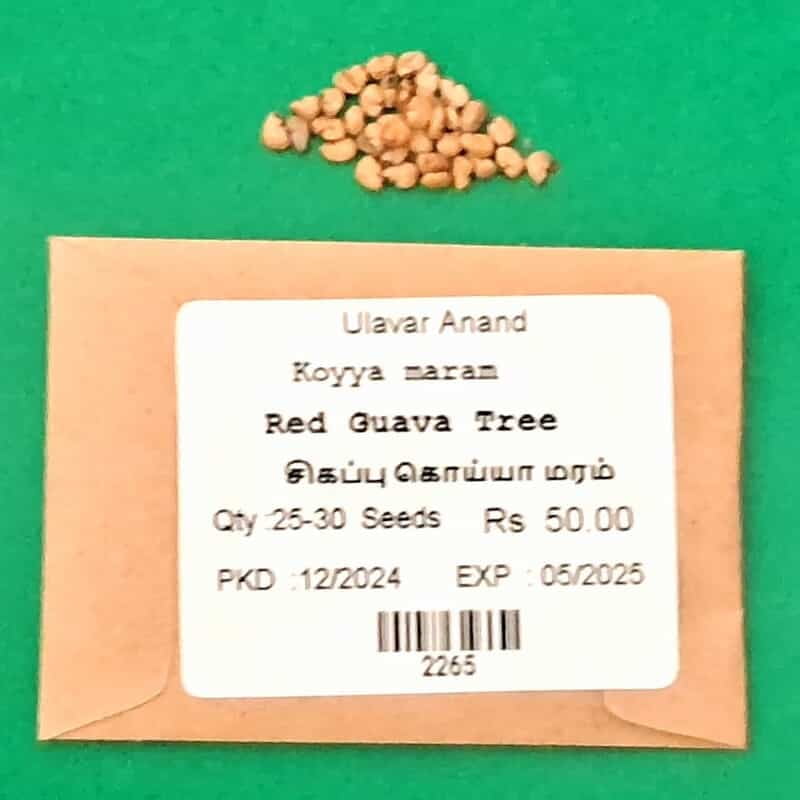Guava Seeds Red Color