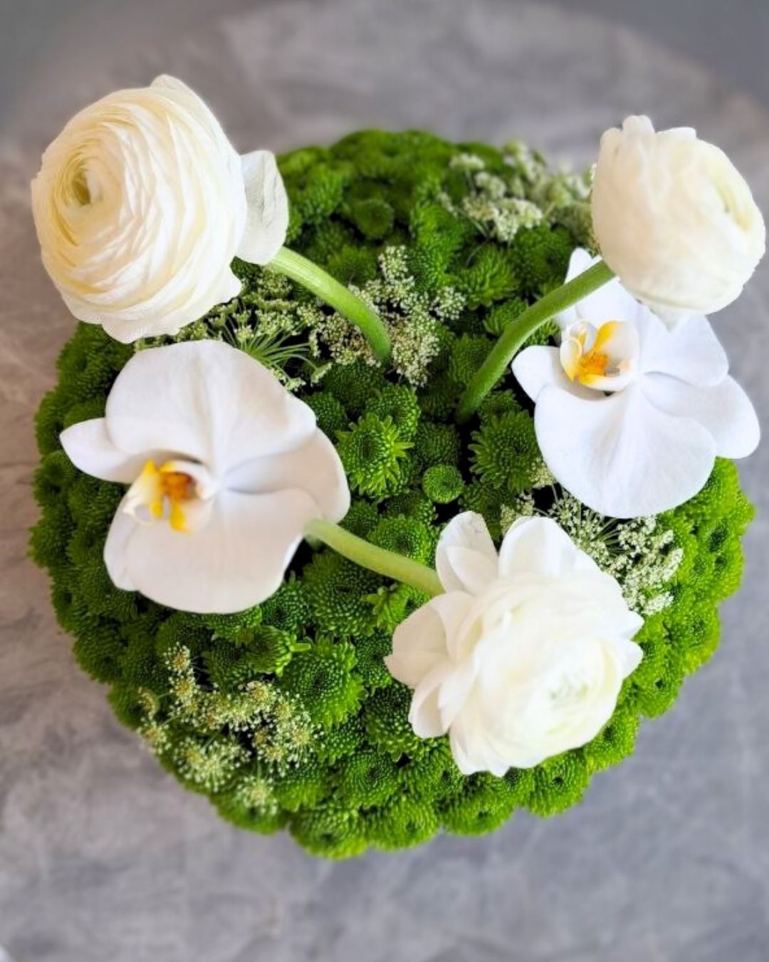 Fresh Petals