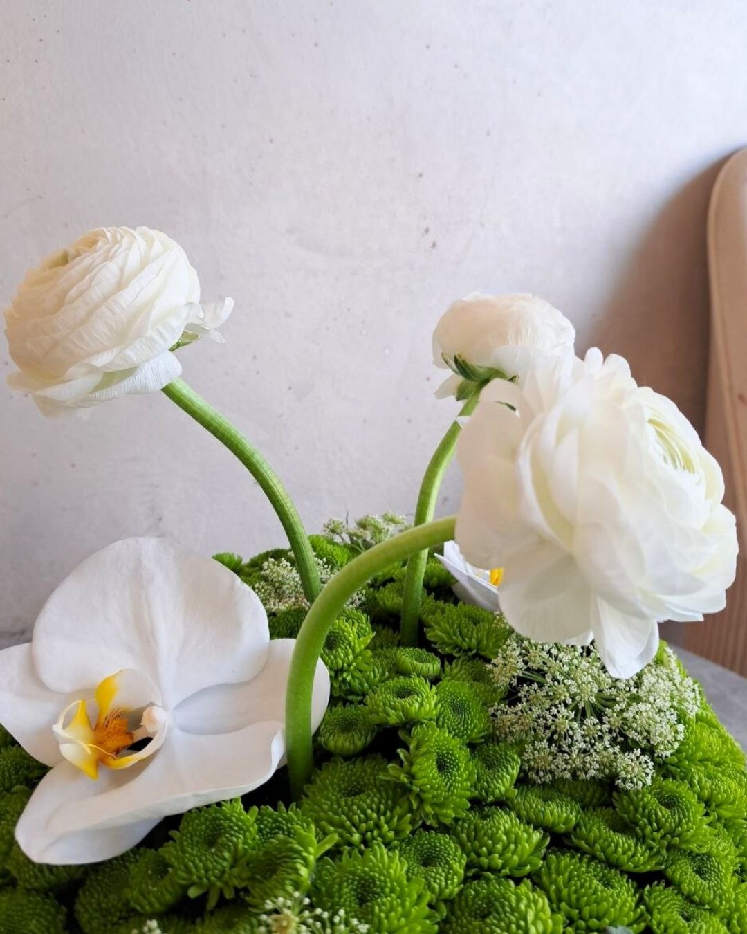 Fresh Petals