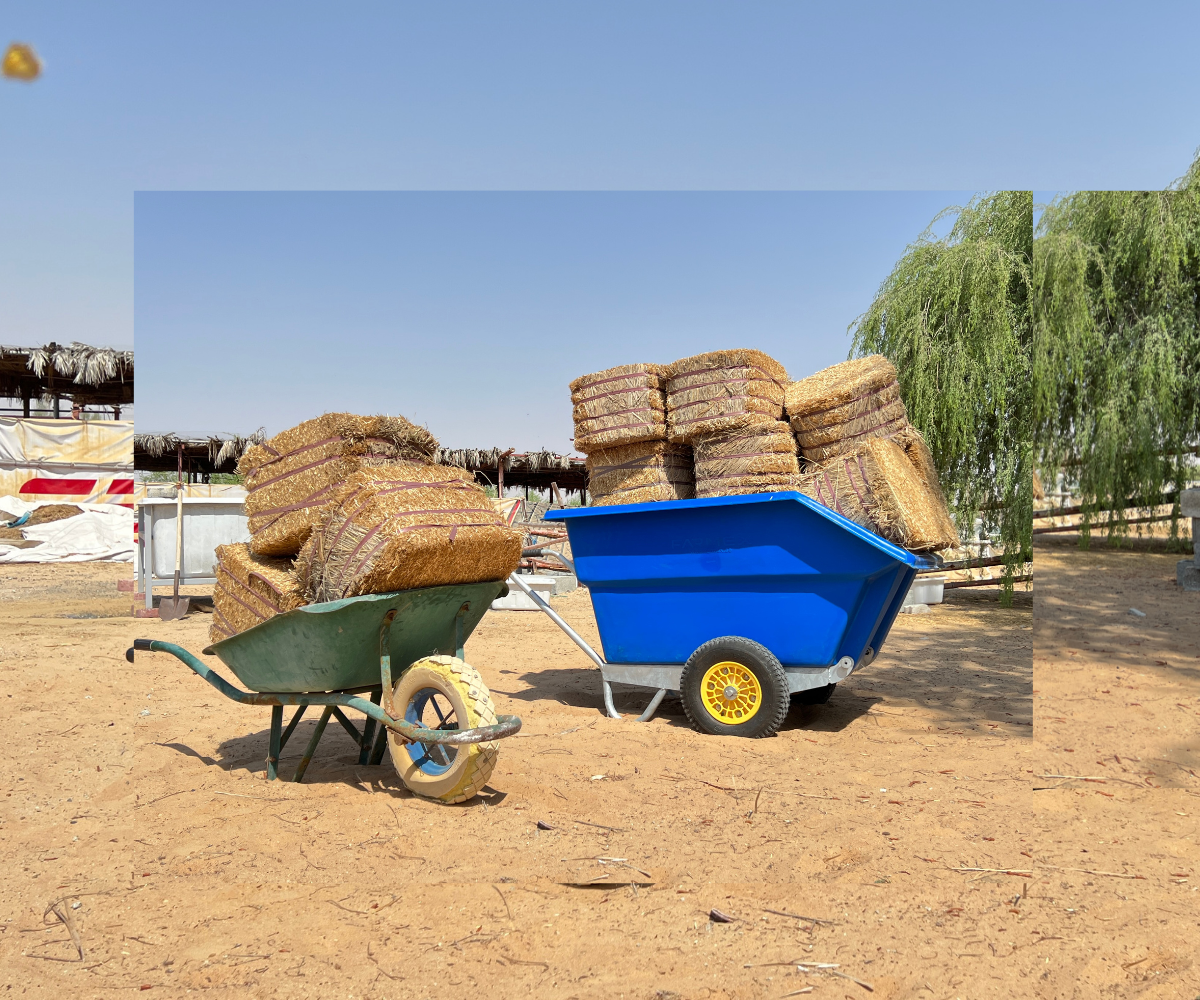 X-Large Wheelbarrow Farmex WB600 - Blue