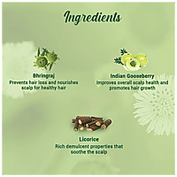 BIOTIQUE Bhringraj Anti Hair Fall Therapeutic Hair Oil - Intensive Hair Regrowth Therapy, 120 ml
