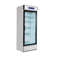 Large capacity deep freezer chest by Blue Star. Large capacity deep freezer chest by Blue Star.