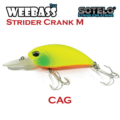 SOTELO - รุ่น STRIDER CRANK M C60A (66mm) CAG