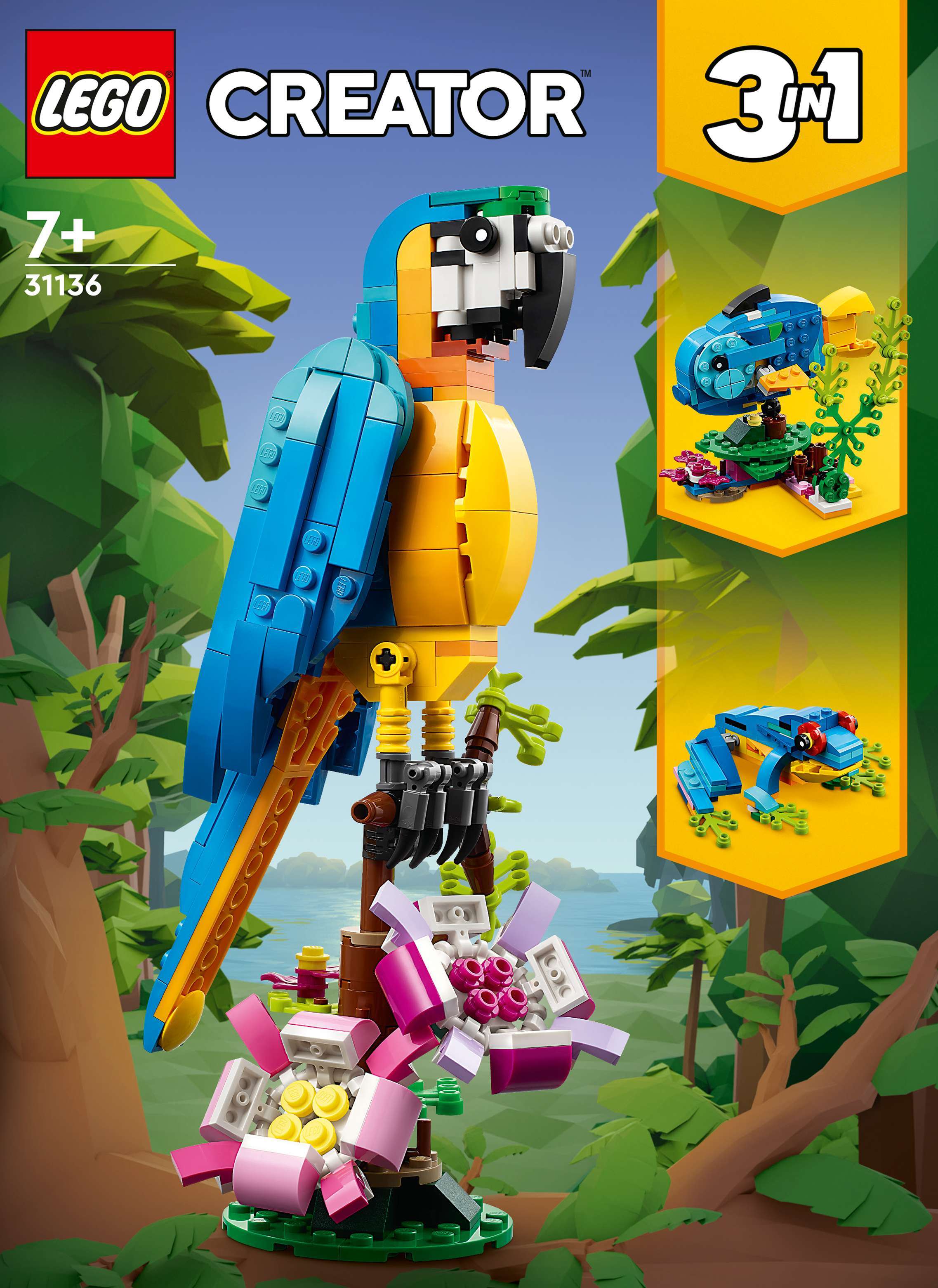 Exotic Parrot