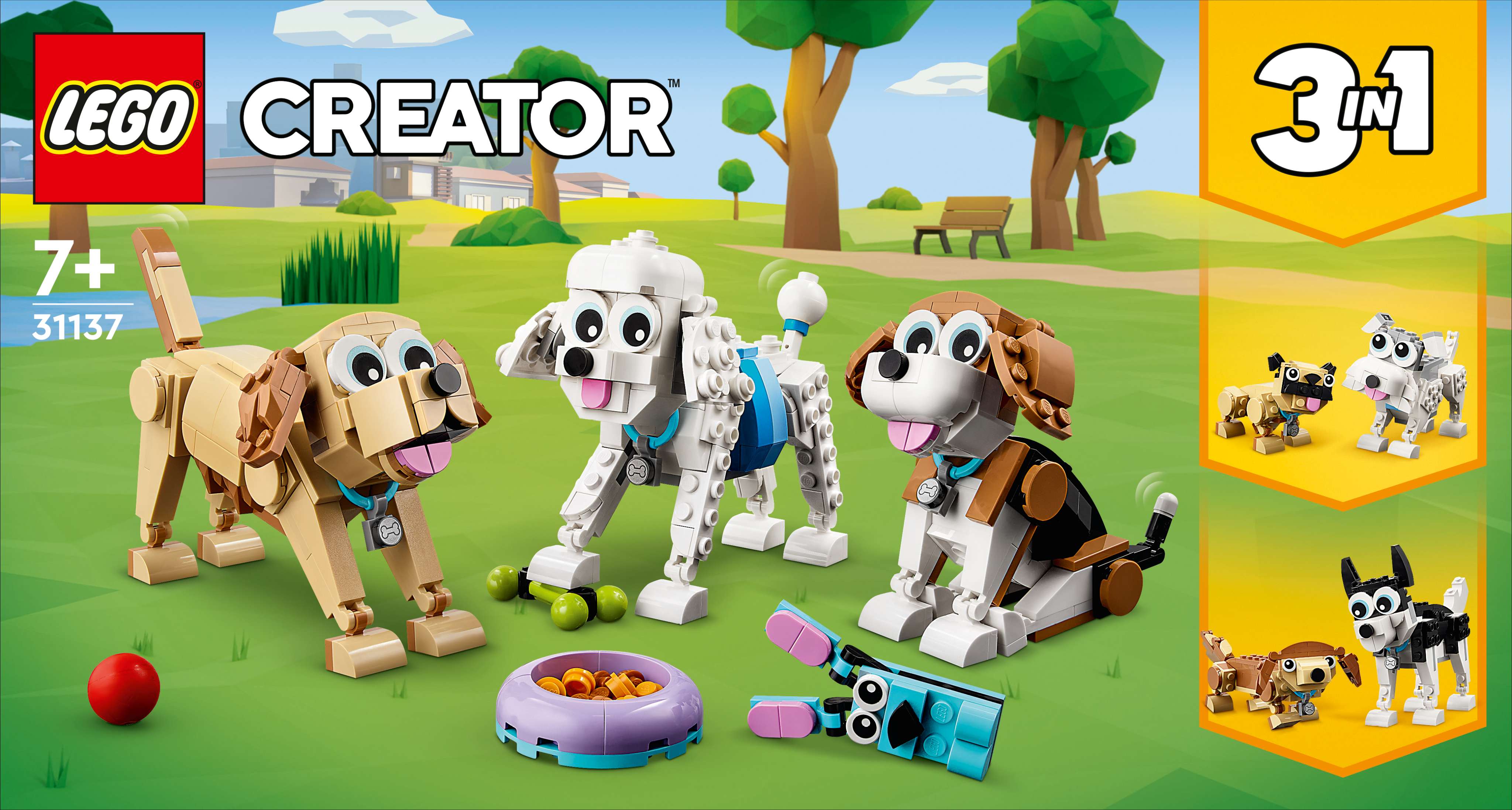 Adorable Dogs