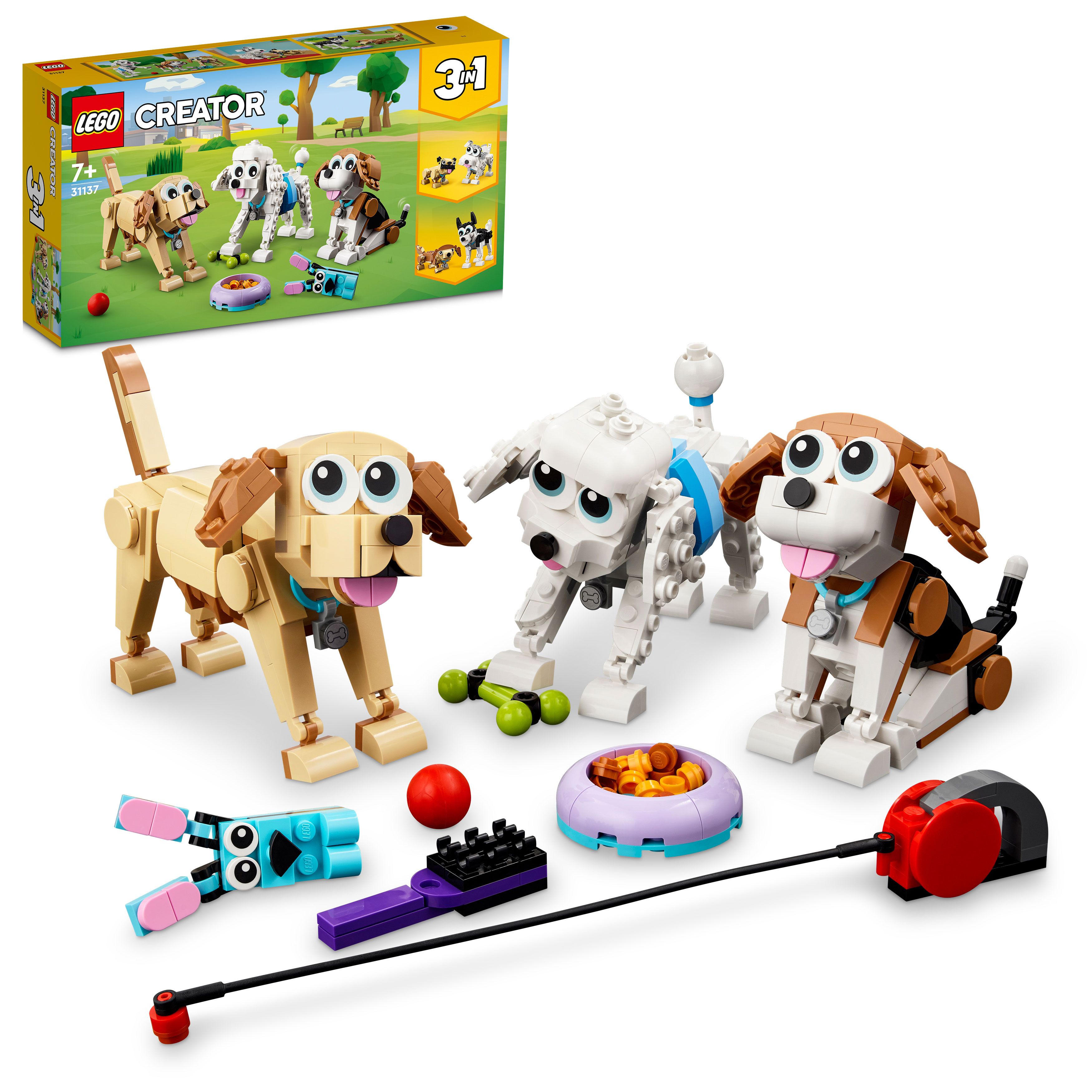 Adorable Dogs