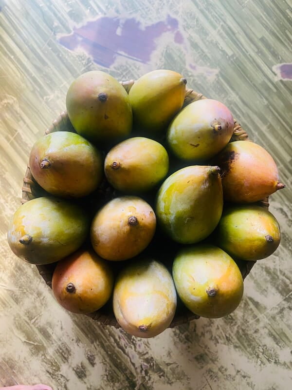 Mango - Kilimooku 5kg