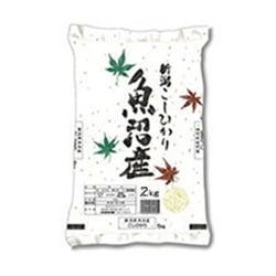 KOME UONUMA KOSHIHIKARI