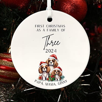 Family of 3 First Christmas 4, 2024 Personalized Custom Ornament, Heirloom Keepsake, Adoption