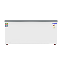 Front look of Blue Star Flat Glass Top Deep Freezer-GT5-590N Front look of Blue Star Flat Glass Top Deep Freezer-GT5-590N