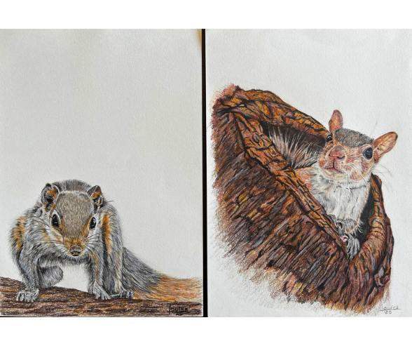 SQUIRRELS by Louise
