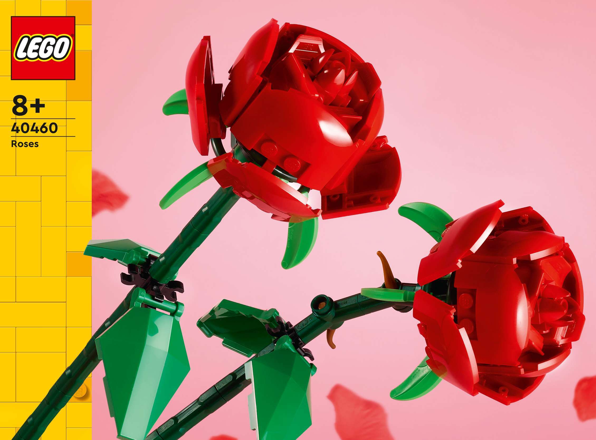 Roses