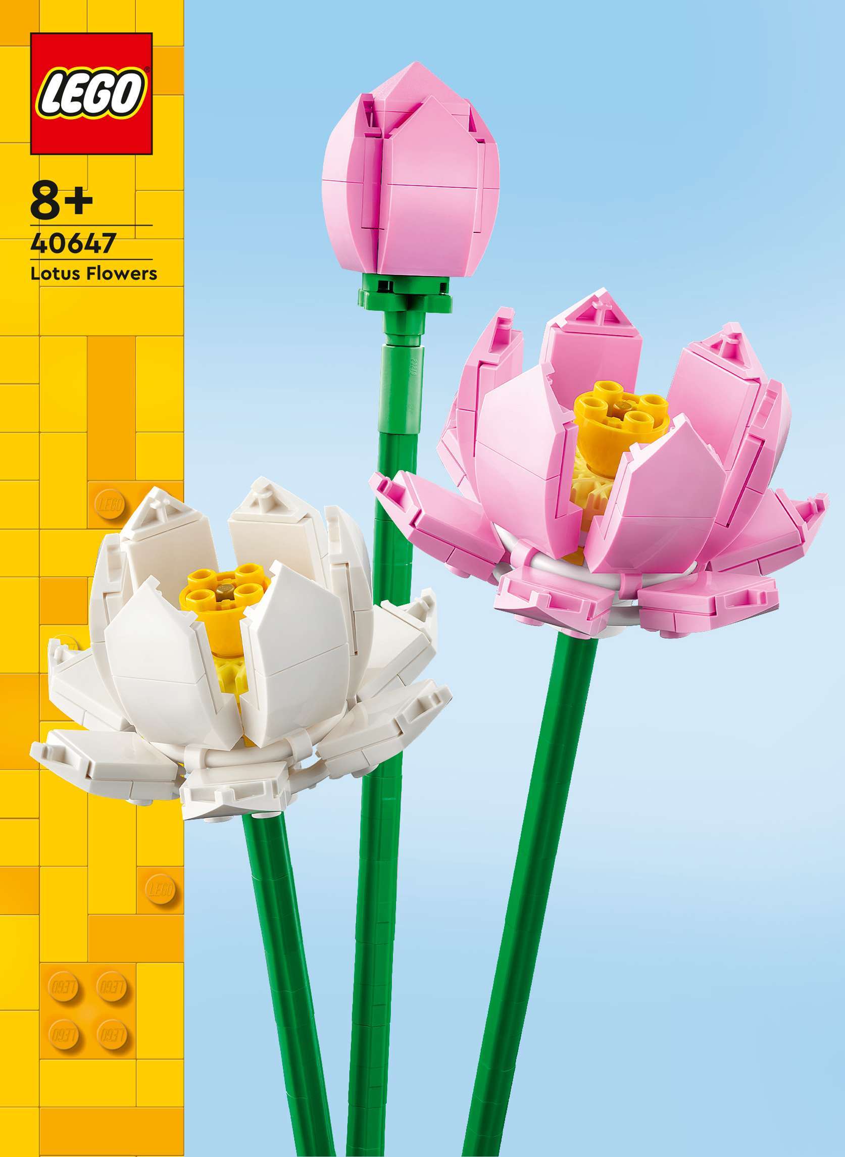 Lotus Flowers