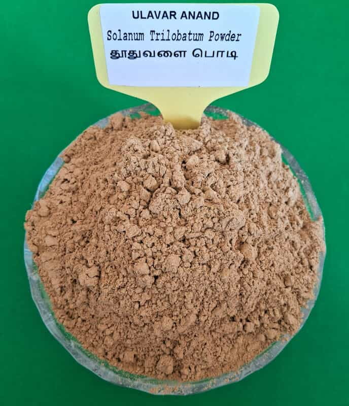 THUTHUVALAI POWDER 50G (தூதுவேளை பொடி | 50G (Intake))