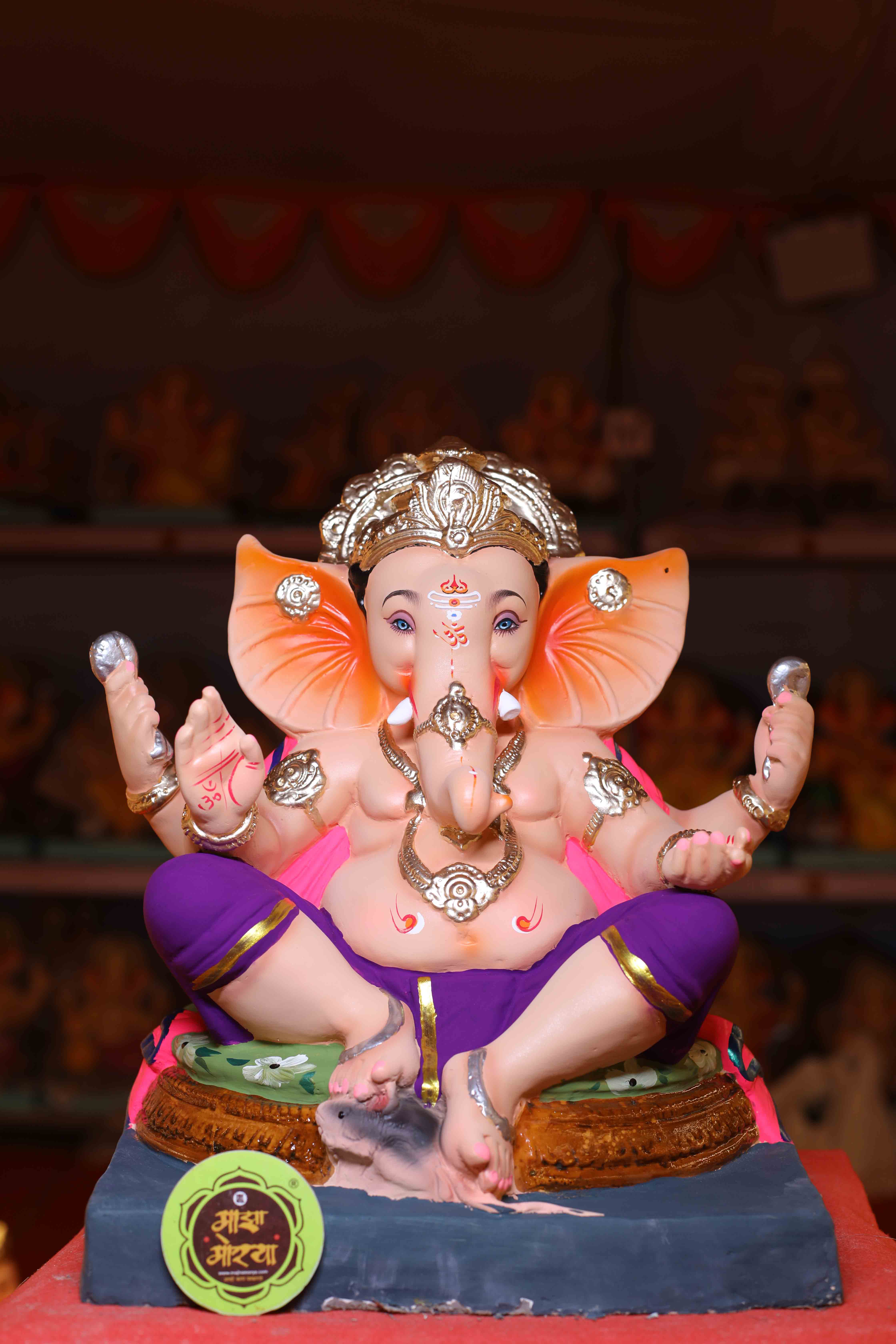 Paper Ganesha 2026-28