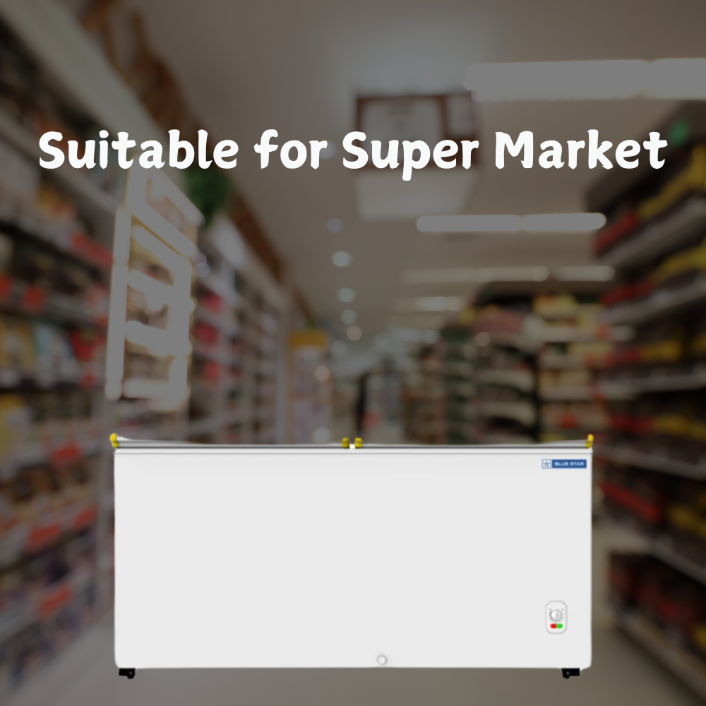 Suitable for Super Market: Blue star Bottle Cooler 500 liter deep freezer-CHBK500MP