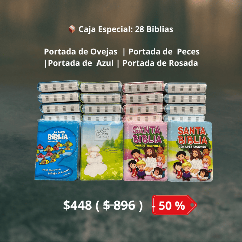 Santa Biblia para Niños /COMBINADA /  Caja de 28 unidades