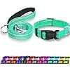 Combo Leash Medium size