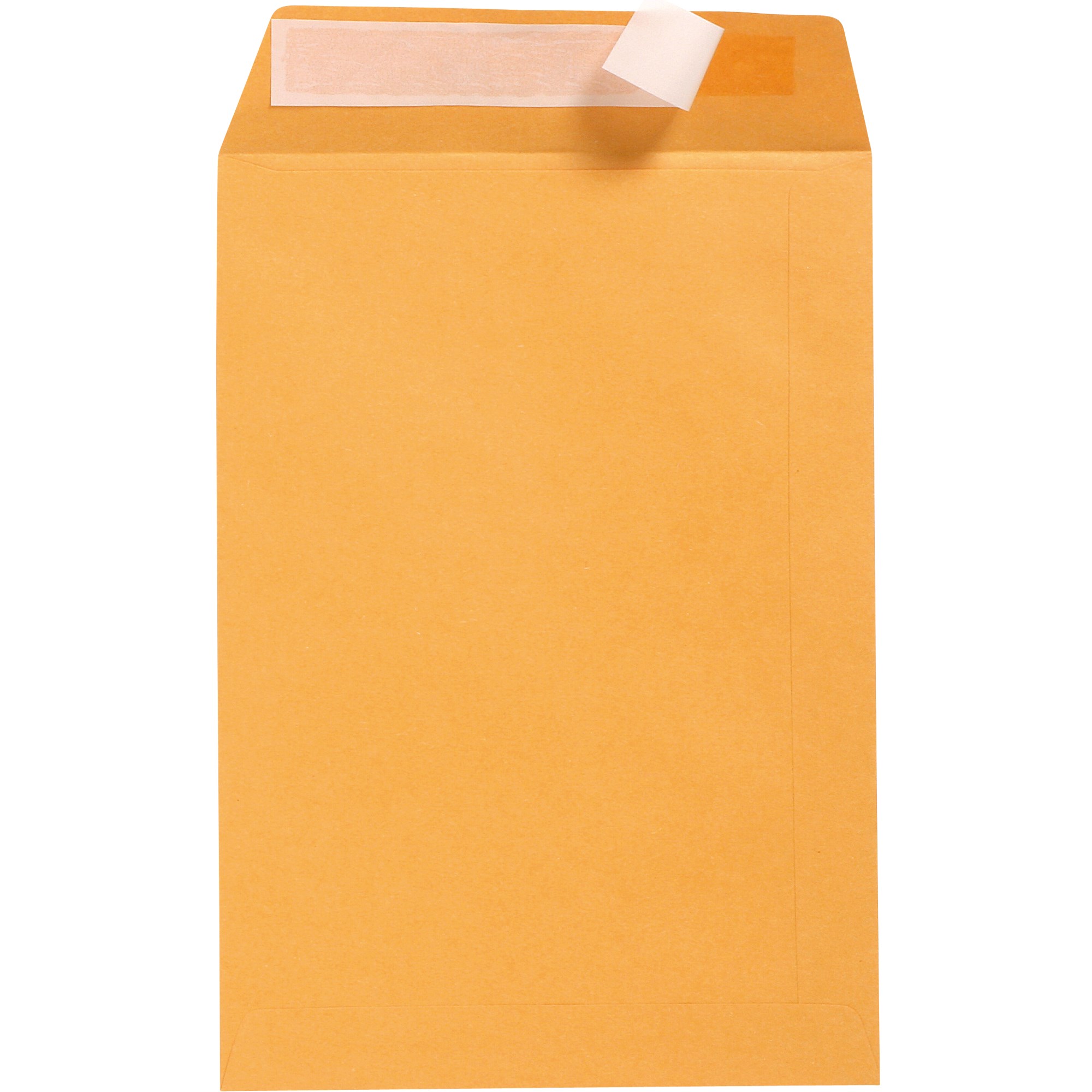Cumberland Plain Envelope Pocket 305 x 405mm Strip Seal Gold Box  Of 250