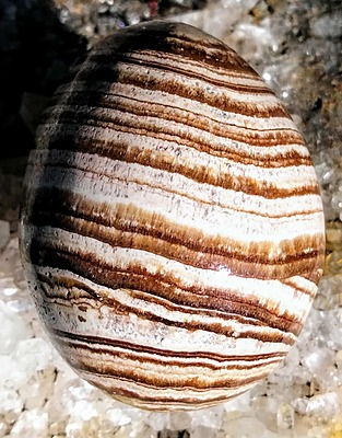 Aragonite eggs (range approximately 45-55mm)